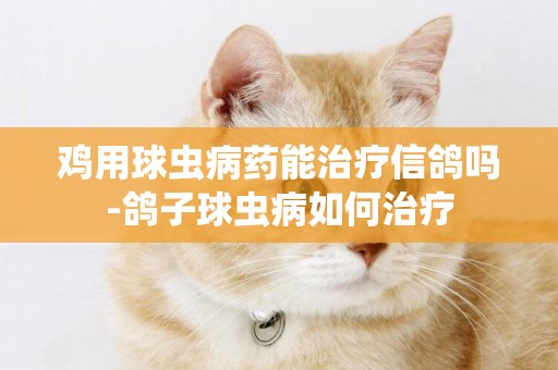 雞用球蟲病藥能治療信鴿嗎-鴿子球蟲病如何治療