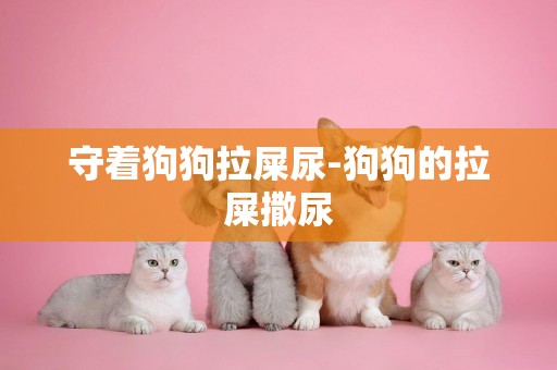 守著狗狗拉屎尿-狗狗的拉屎撒尿