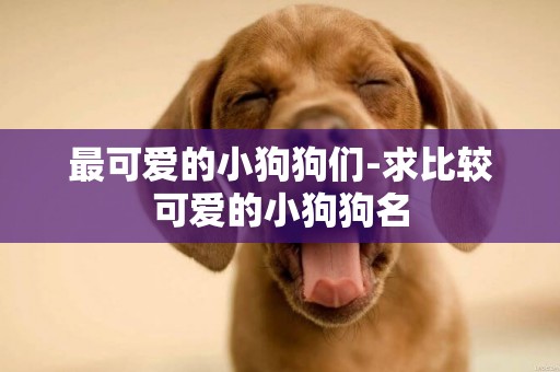 最可愛的小狗狗們-求比較可愛的小狗狗名