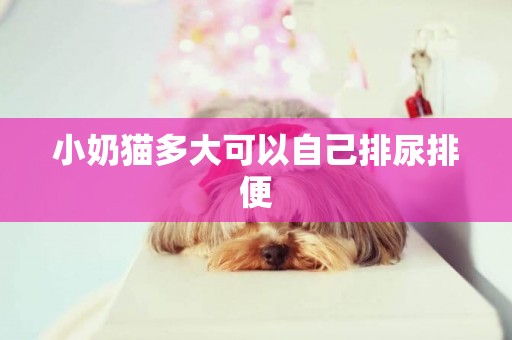 小奶貓多大可以自己排尿排便