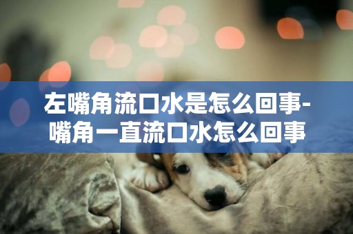 左嘴角流口水是怎么回事-嘴角一直流口水怎么回事