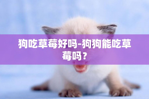 狗吃草莓好嗎-狗狗能吃草莓嗎？