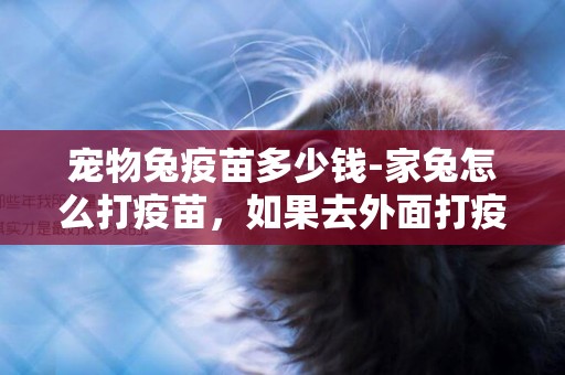 寵物兔疫苗多少錢-家兔怎么打疫苗，如果去外面打疫苗在哪里打