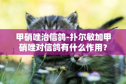 甲硝唑治信鴿-撲爾敏加甲硝唑對信鴿有什么作用？