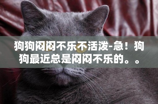 狗狗悶悶不樂不活潑-急！狗狗最近總是悶悶不樂的。。。