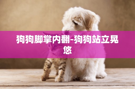 狗狗腳掌內翻-狗狗站立晃悠
