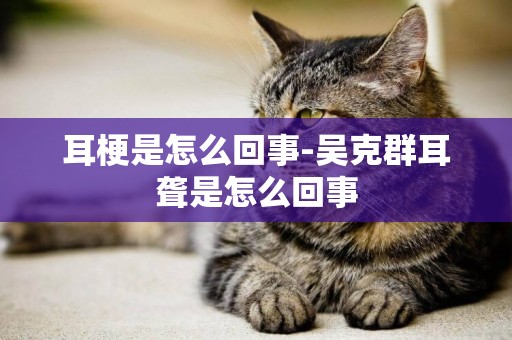 耳梗是怎么回事-吳克群耳聾是怎么回事