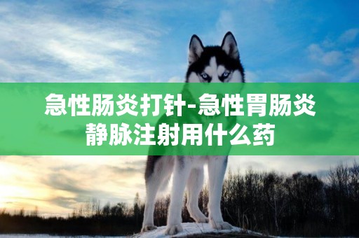 急性腸炎打針-急性胃腸炎靜脈注射用什么藥