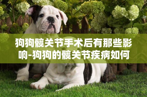 狗狗髖關節手術后有那些影響-狗狗的髖關節疾病如何治療？