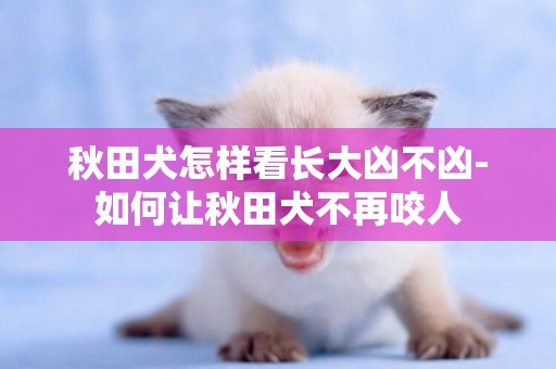 秋田犬怎樣看長大兇不兇-如何讓秋田犬不再咬人