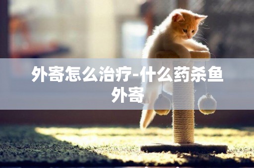 外寄怎么治療-什么藥殺魚外寄