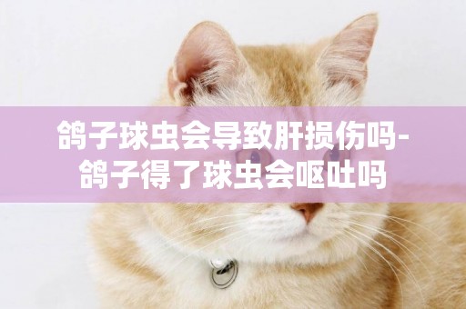 鴿子球蟲會導致肝損傷嗎-鴿子得了球蟲會嘔吐嗎