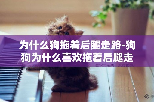 為什么狗拖著后腿走路-狗狗為什么喜歡拖著后腿走