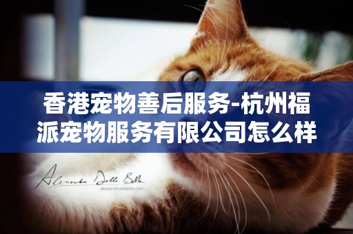 香港寵物善后服務-杭州福派寵物服務有限公司怎么樣？