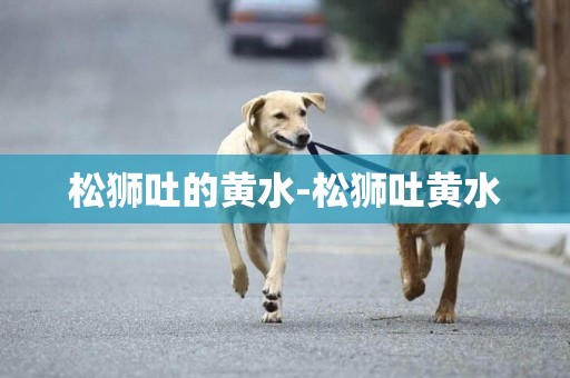 松獅吐的黃水-松獅吐黃水