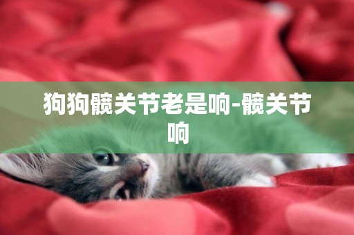狗狗髖關節老是響-髖關節響