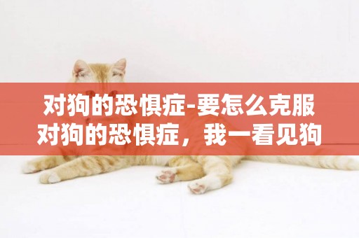 對狗的恐懼癥-要怎么克服對狗的恐懼癥，我一看見狗就會怕的發抖