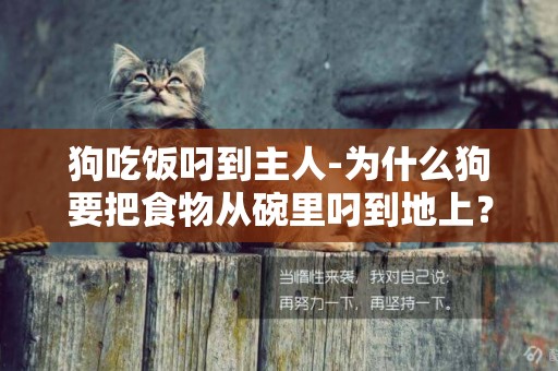 狗吃飯叼到主人-為什么狗要把食物從碗里叼到地上？