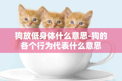 狗放低身體什么意思-狗的各個行為代表什么意思