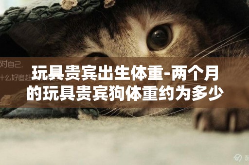 玩具貴賓出生體重-兩個月的玩具貴賓狗體重約為多少？