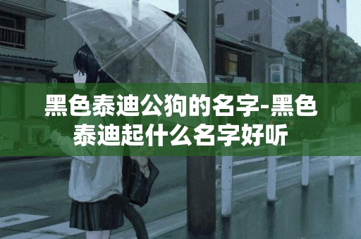黑色泰迪公狗的名字-黑色泰迪起什么名字好聽