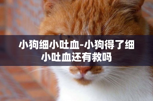 小狗細小吐血-小狗得了細小吐血還有救嗎
