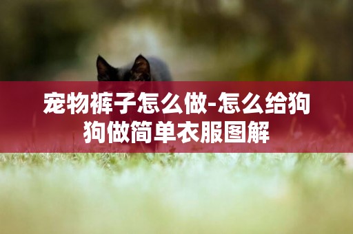 寵物褲子怎么做-怎么給狗狗做簡單衣服圖解