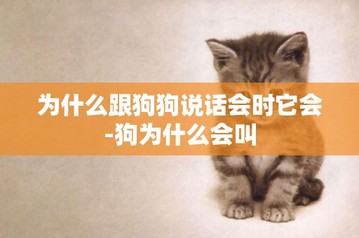 為什么跟狗狗說話會時它會-狗為什么會叫