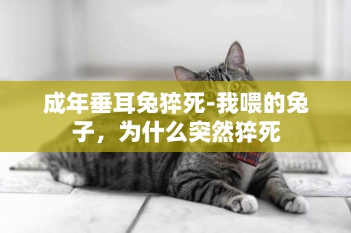 成年垂耳兔猝死-我喂的兔子，為什么突然猝死