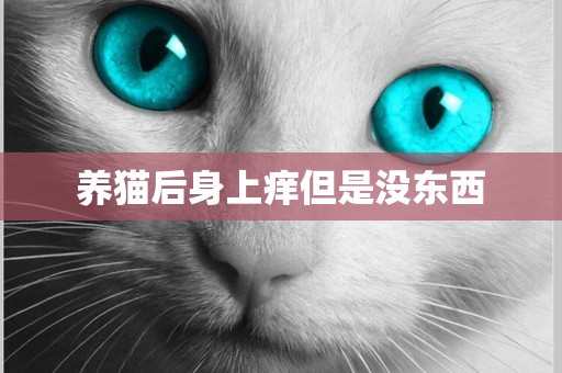 養貓后身上癢但是沒東西