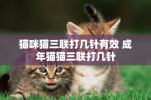 貓咪貓三聯打幾針有效 成年貓貓三聯打幾針