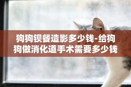 狗狗鋇餐造影多少錢-給狗狗做消化道手術需要多少錢啊？