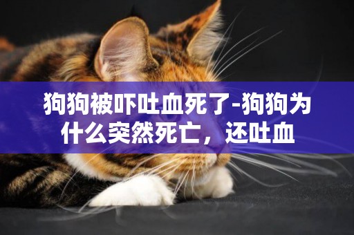 狗狗被嚇吐血死了-狗狗為什么突然死亡，還吐血