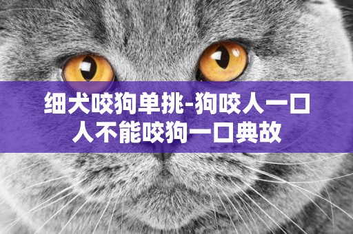 細犬咬狗單挑-狗咬人一口人不能咬狗一口典故