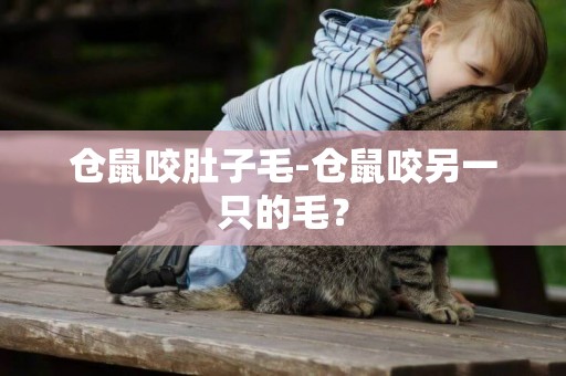 倉鼠咬肚子毛-倉鼠咬另一只的毛？