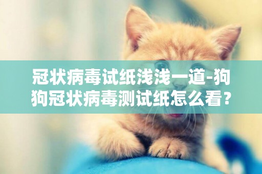 冠狀病毒試紙淺淺一道-狗狗冠狀病毒測試紙怎么看？
