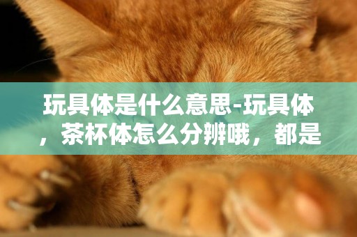 玩具體是什么意思-玩具體，茶杯體怎么分辨哦，都是什么意思