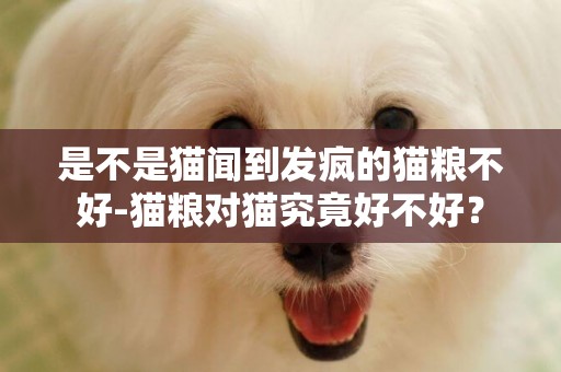 是不是貓聞到發瘋的貓糧不好-貓糧對貓究竟好不好？