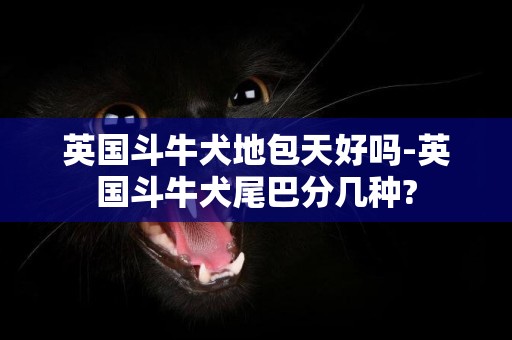 英國斗牛犬地包天好嗎-英國斗牛犬尾巴分幾種?