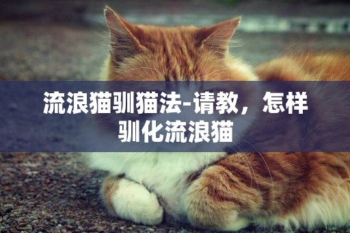 流浪貓馴貓法-請教，怎樣馴化流浪貓