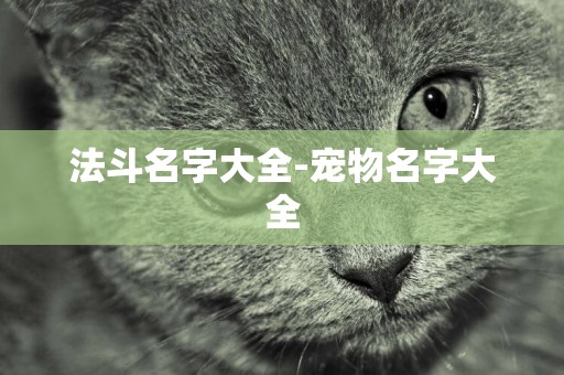 法斗名字大全-寵物名字大全