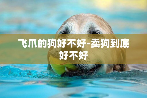飛爪的狗好不好-賣狗到底好不好