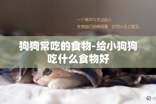 狗狗常吃的食物-給小狗狗吃什么食物好