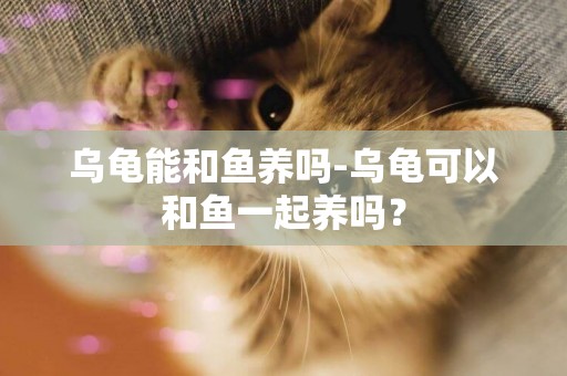 烏龜能和魚養嗎-烏龜可以和魚一起養嗎？