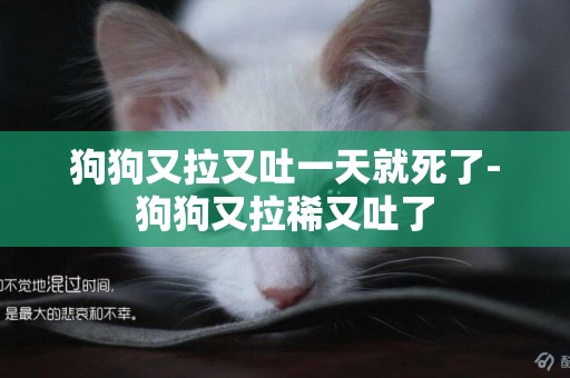 狗狗又拉又吐一天就死了-狗狗又拉稀又吐了