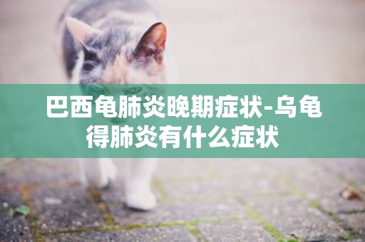 巴西龜肺炎晚期癥狀-烏龜得肺炎有什么癥狀
