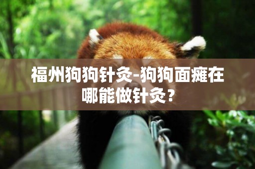 福州狗狗針灸-狗狗面癱在哪能做針灸？