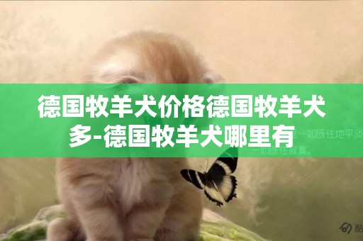 德國牧羊犬價格德國牧羊犬多-德國牧羊犬哪里有