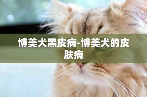 博美犬黑皮病-博美犬的皮膚病