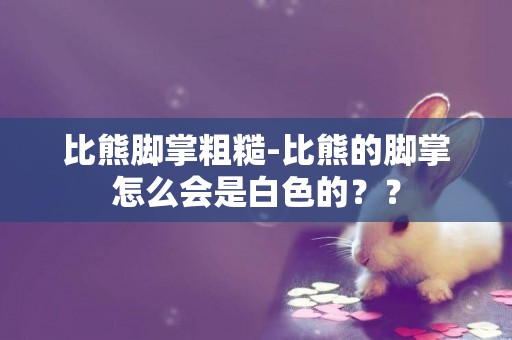 比熊腳掌粗糙-比熊的腳掌怎么會是白色的？？